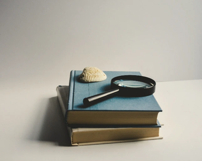 Book Hunt